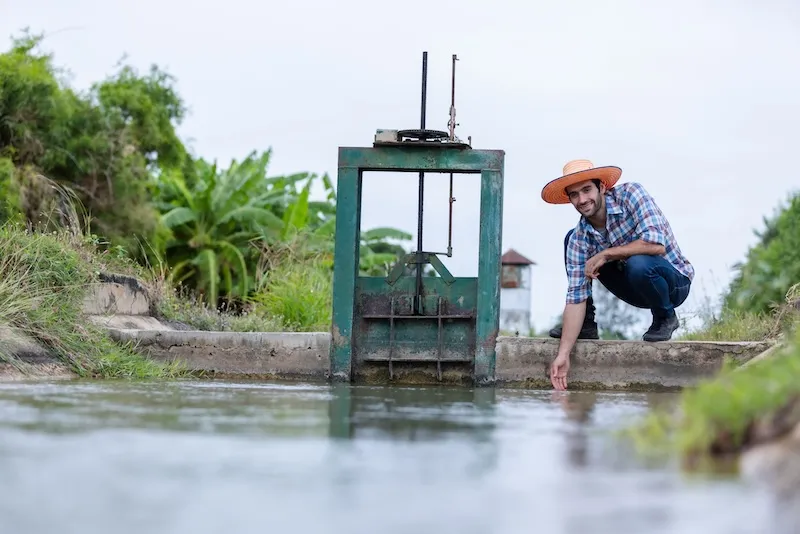 Control del agua para el campo. La Consultoría empresarial ayuda en la gestión de aguas nacionales y recursos.